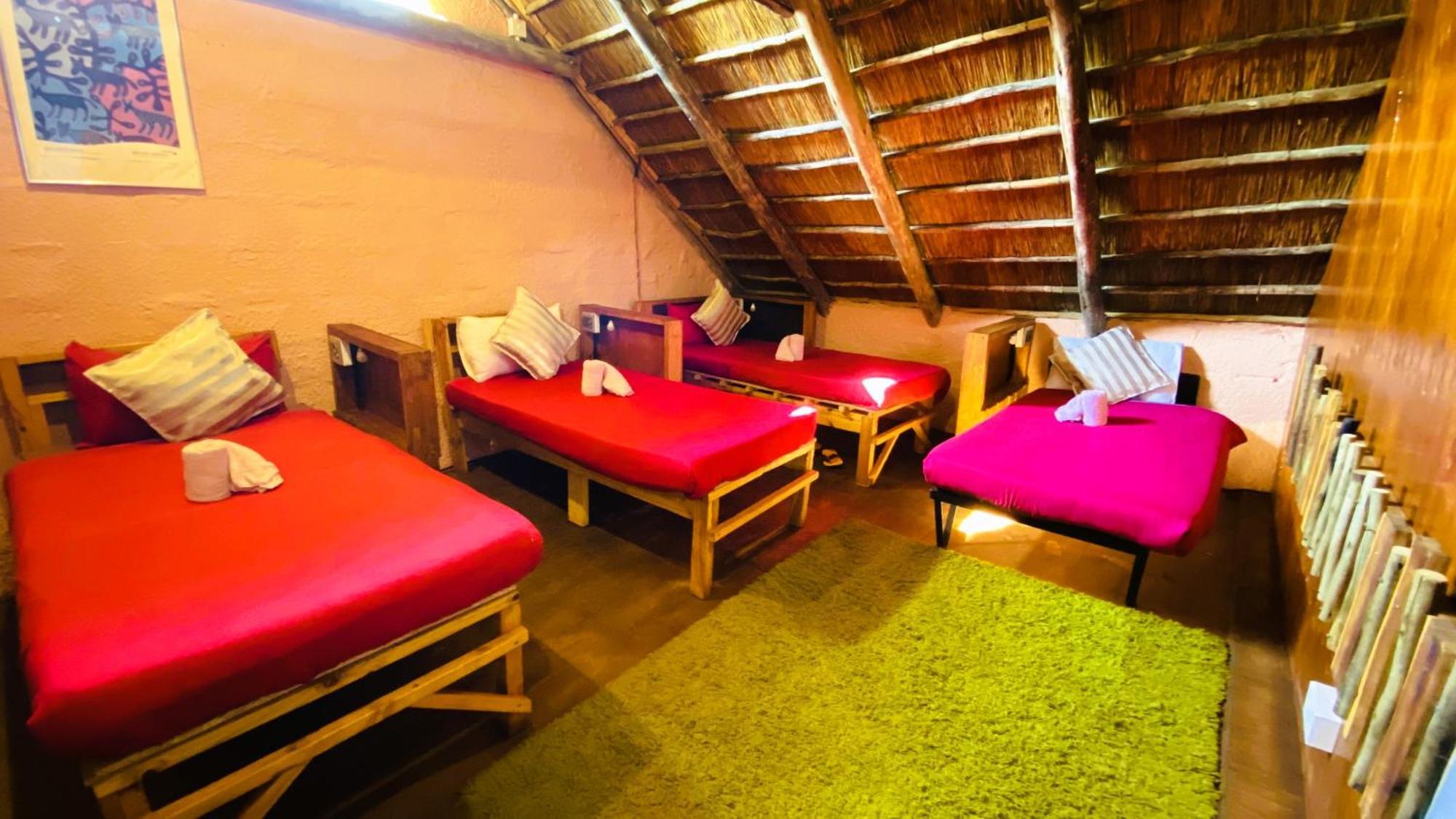Elephant Trail Guesthouse And Backpackers Kasane Δωμάτιο φωτογραφία